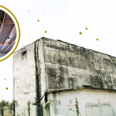 One of our own swiftlet houses